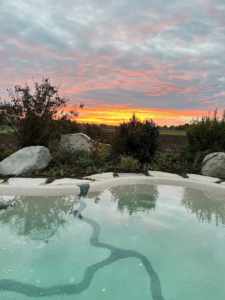 Bio.design-Pool in geschwungener Form mit Abendstimmung und Sonnenuntergang