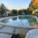 Bio.design-Pool mit Herbststimmung und Randbepflanzung vor blauem Himmel