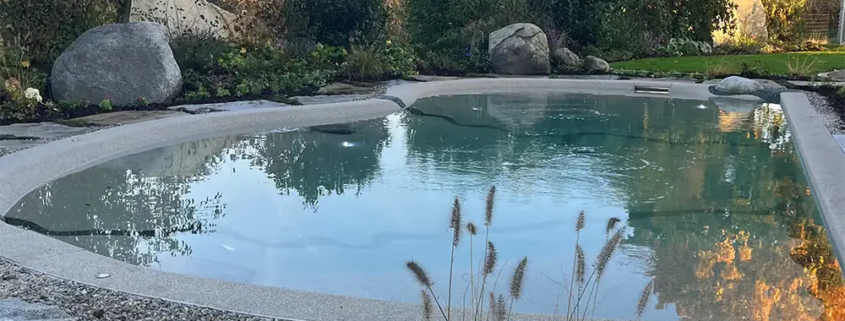 Bio.design-Pool mit Herbststimmung und Randbepflanzung vor blauem Himmel