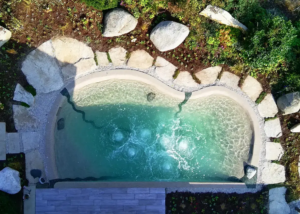 Bio.design-Pool in geschwungener Form mit Randbepflanzung und großen Steinen