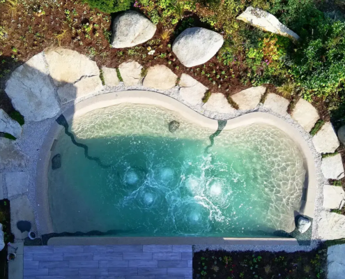 Bio.design-Pool in geschwungener Form mit Randbepflanzung und großen Steinen