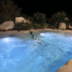Bio.design-Pool beleuchtetes Abendschwimmen