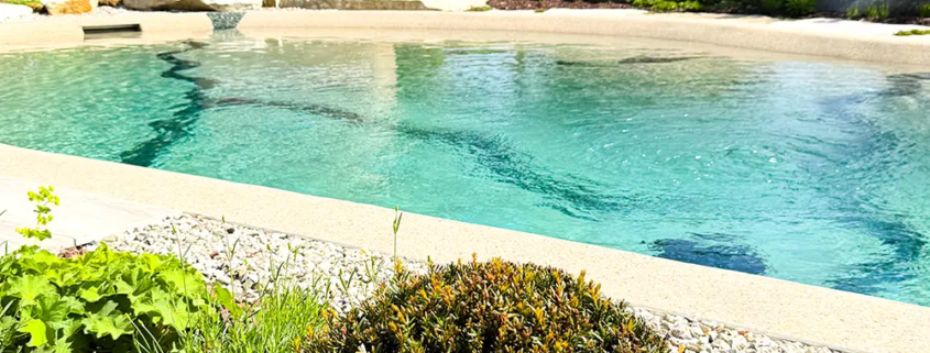 Bio.design-Pool Loungs-Sessel und niedriger Randbepflanzung