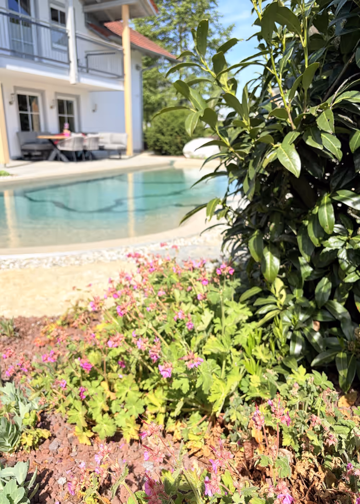 Harmonische Gartengestaltung mit Designer-Pool, der sich natürlich in den Garten einfügt.
