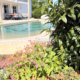 Harmonische Gartengestaltung mit Designer-Pool, der sich natürlich in den Garten einfügt.